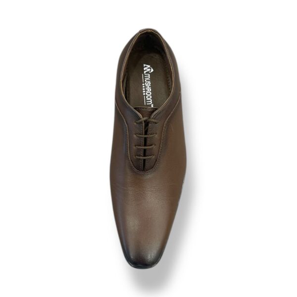 Men Formal Lace Up- Black & Brown